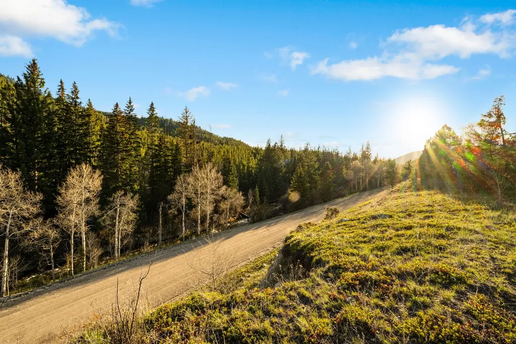 1470 Lime Spur Road Anaconda MT 59711