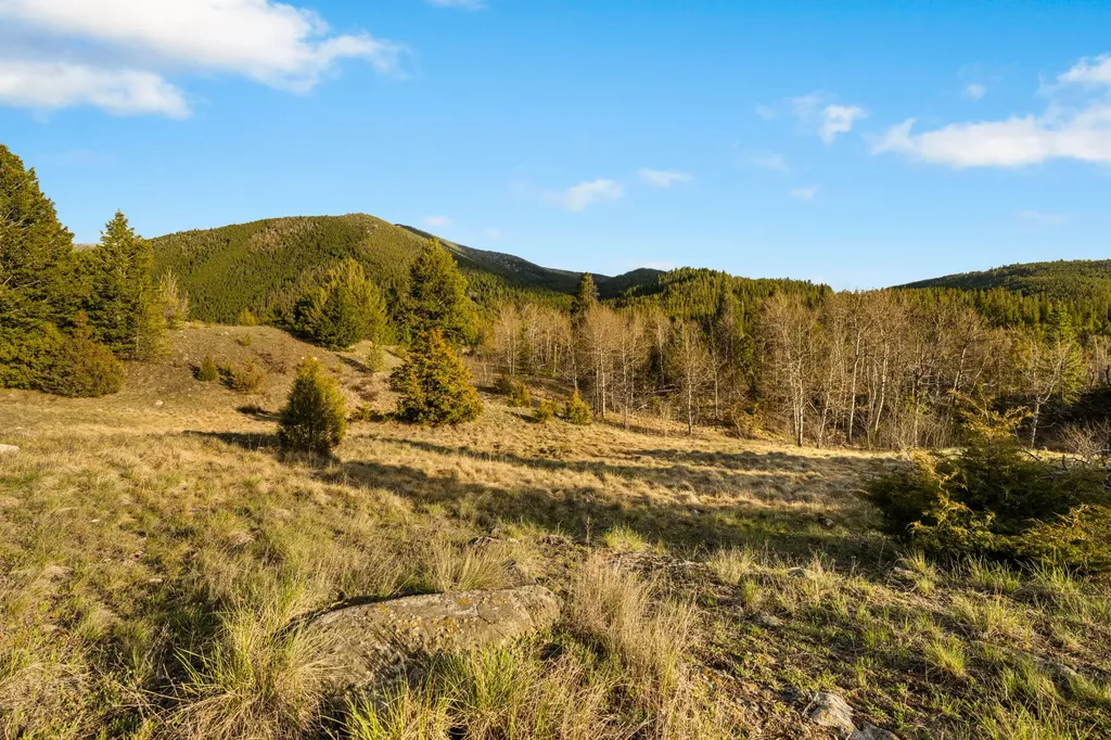 1470 Lime Spur Road Anaconda MT 59711