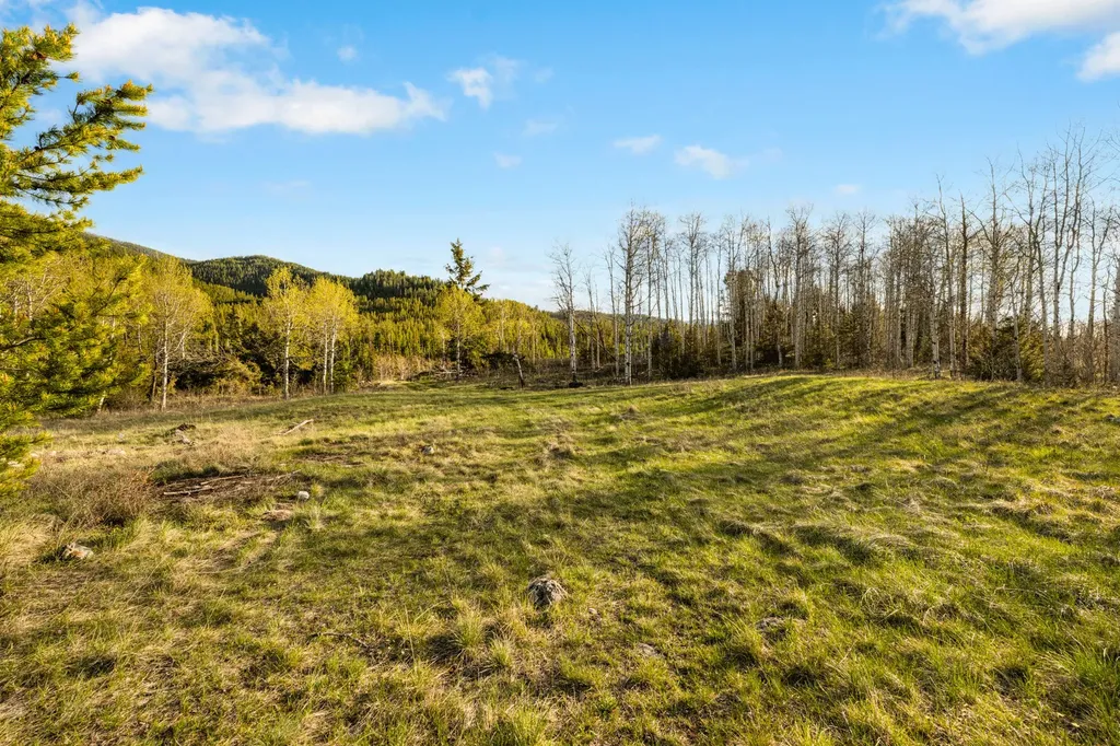 1470 Lime Spur Road Anaconda MT 59711