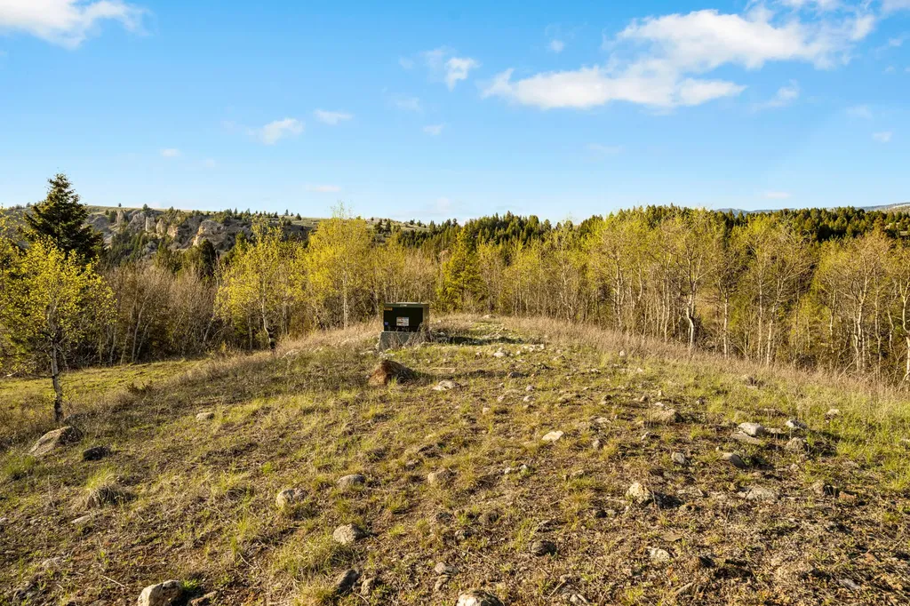 1470 Lime Spur Road Anaconda MT 59711