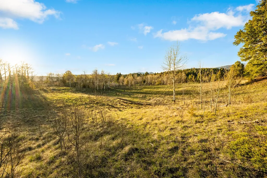 1470 Lime Spur Road Anaconda MT 59711