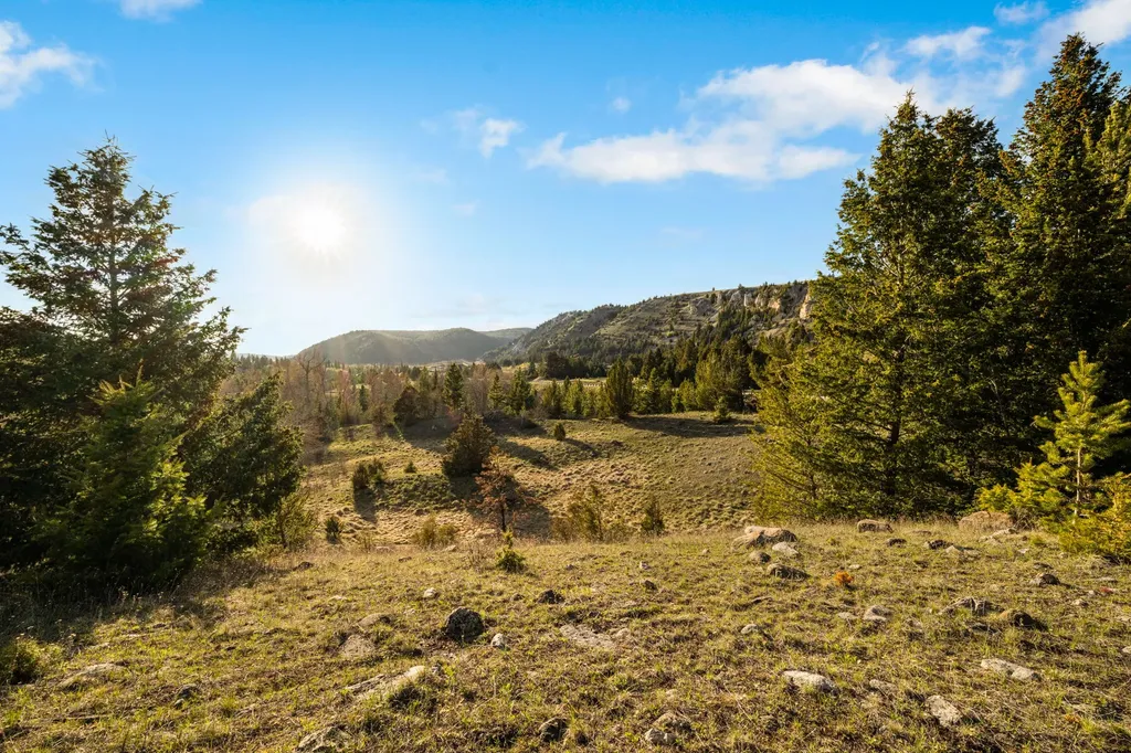 1470 Lime Spur Road Anaconda MT 59711