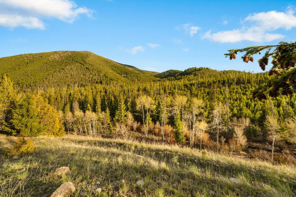 1470 Lime Spur Road Anaconda MT 59711