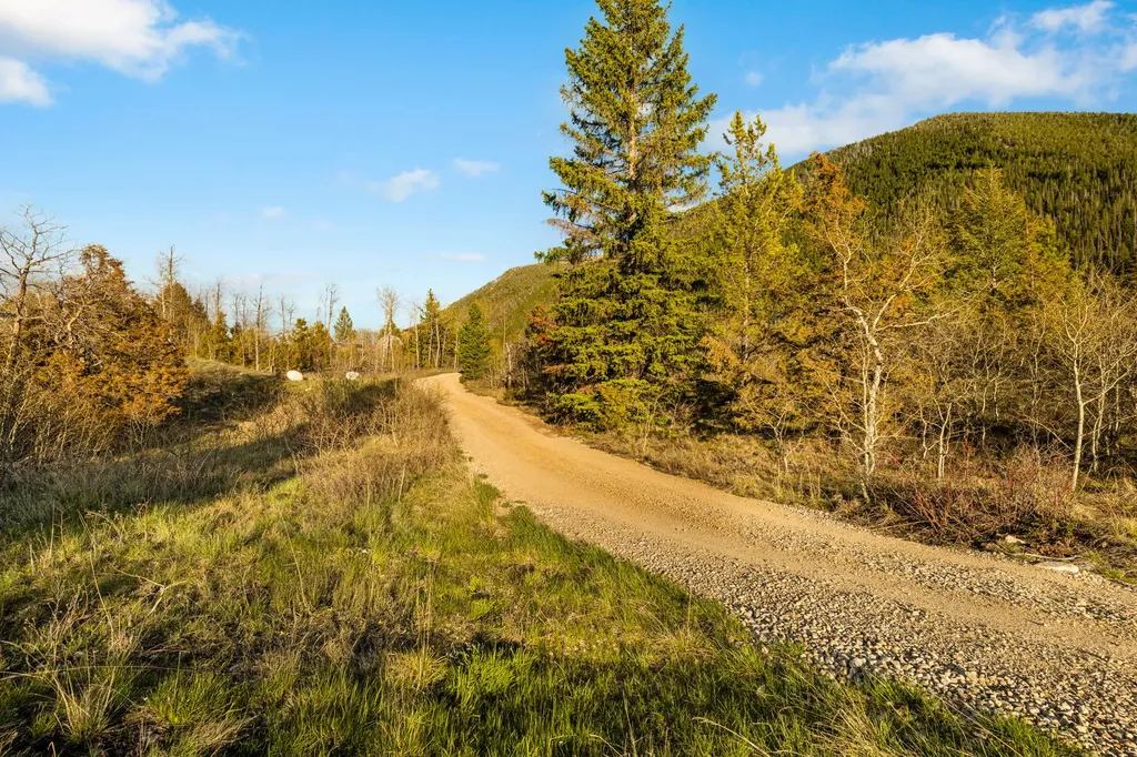 1470 Lime Spur Road Anaconda MT 59711