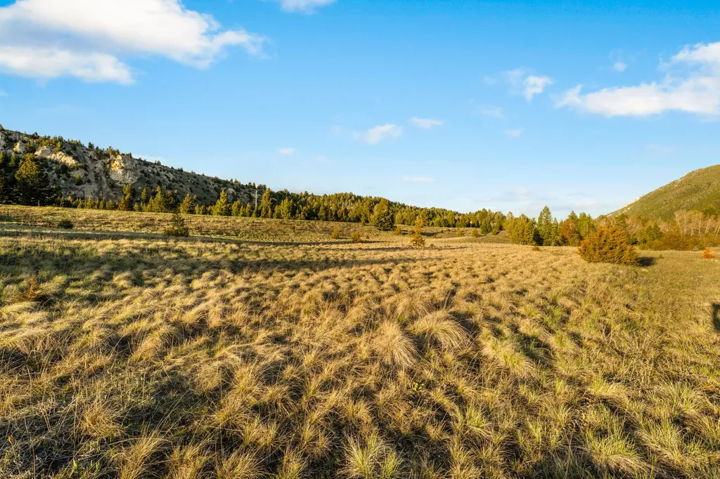 Nhn Lime Spur Road Anaconda MT 59711