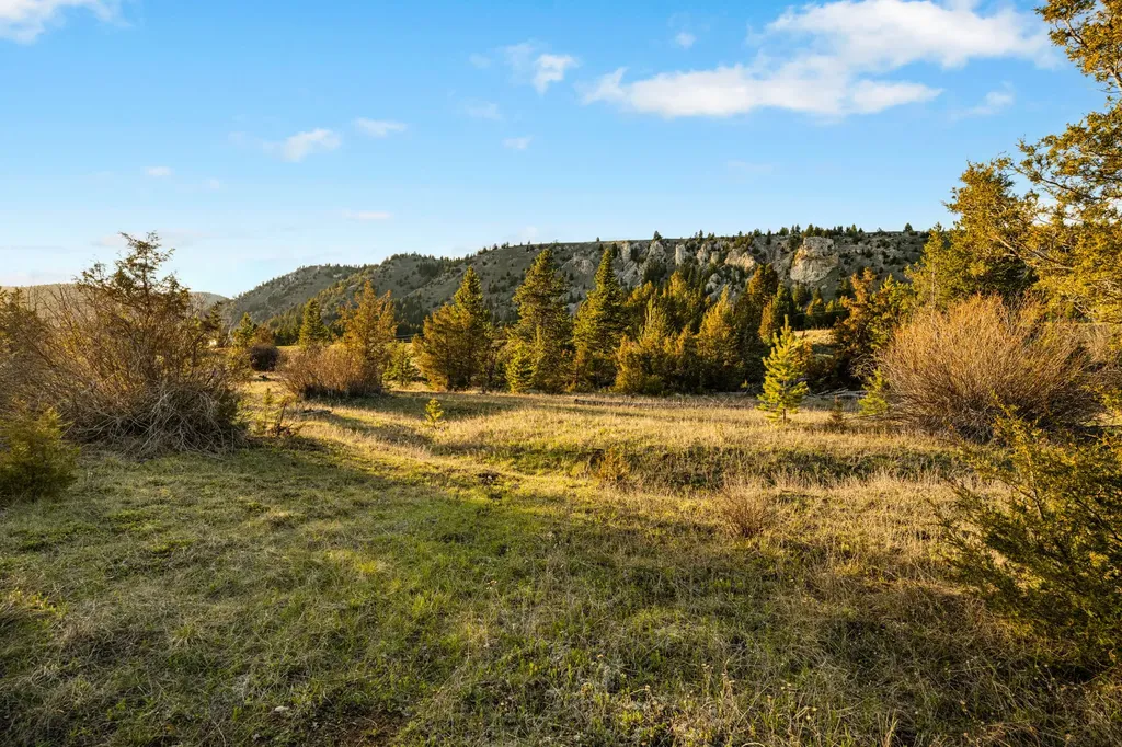 Nhn Lime Spur Road Anaconda MT 59711