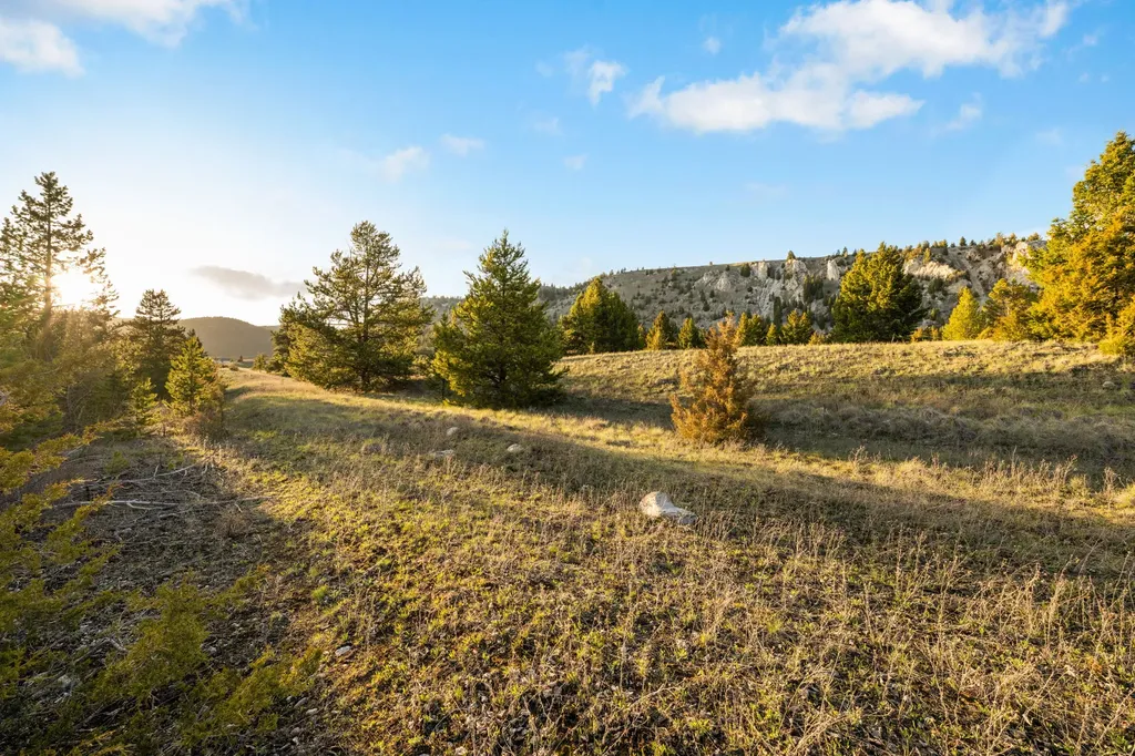 Nhn Lime Spur Road Anaconda MT 59711