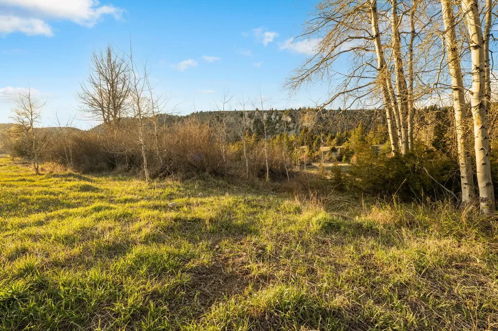 Nhn Lime Spur Road Anaconda MT 59711