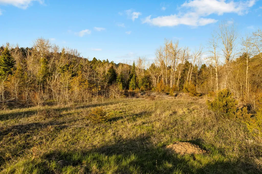Nhn Lime Spur Road Anaconda MT 59711
