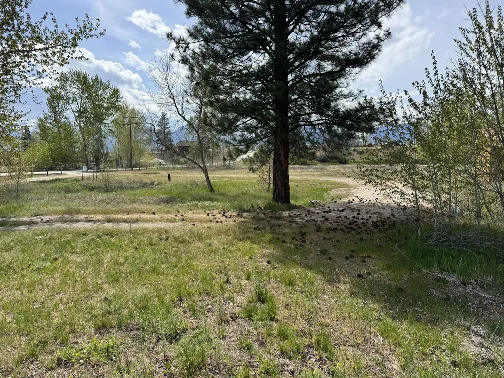 118 W Tucker Crossing Victor MT 59875