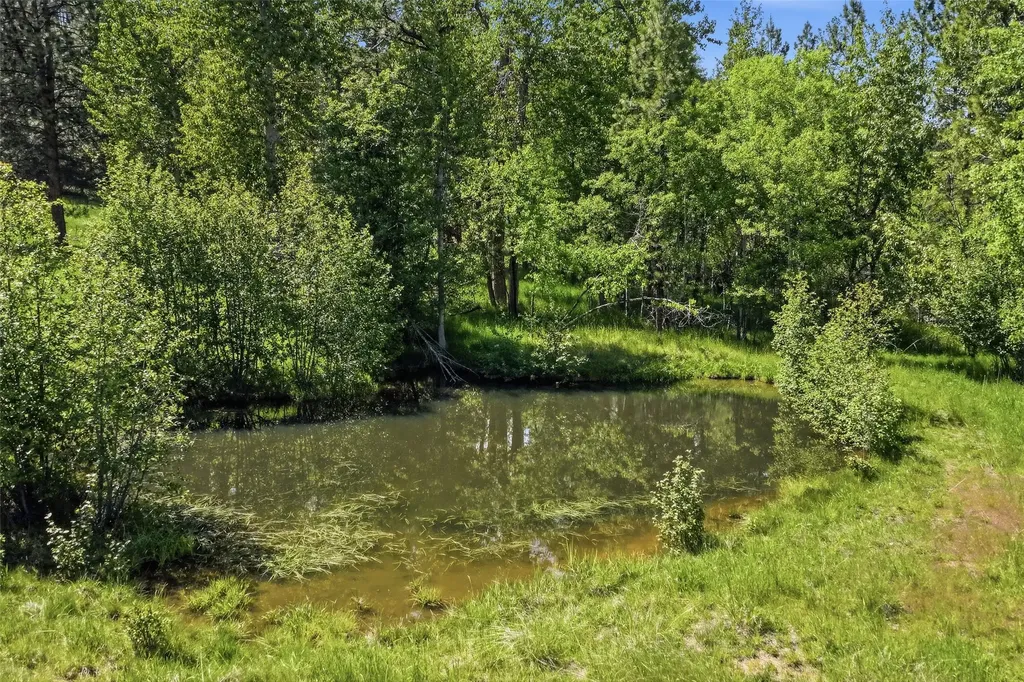 3603 Moose Meadow Lane Darby MT 59829