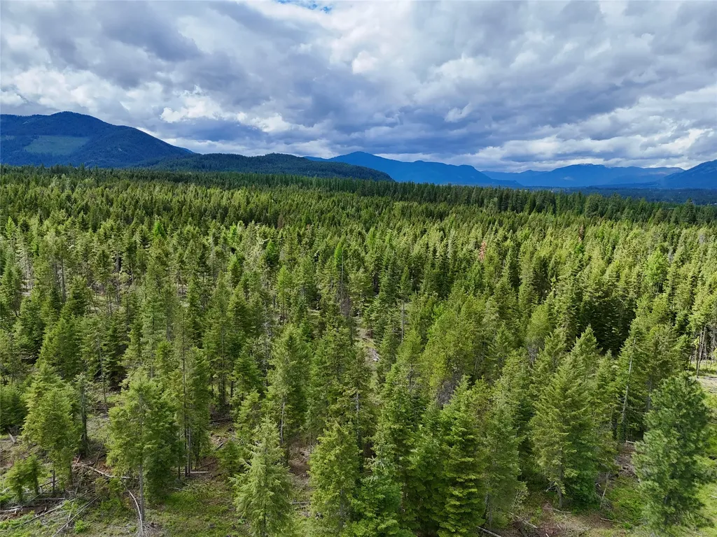 Nhn S Squire Lane Trout Creek MT 59874