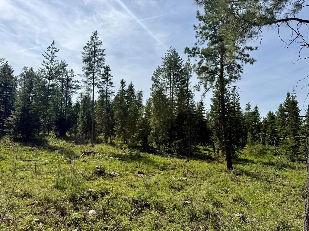 Nhn S Squire Lane Trout Creek MT 59874