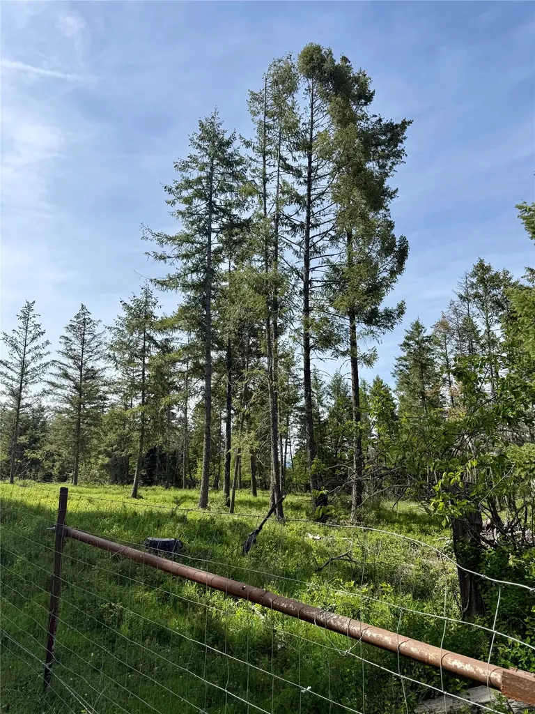 Nhn S Squire Lane Trout Creek MT 59874