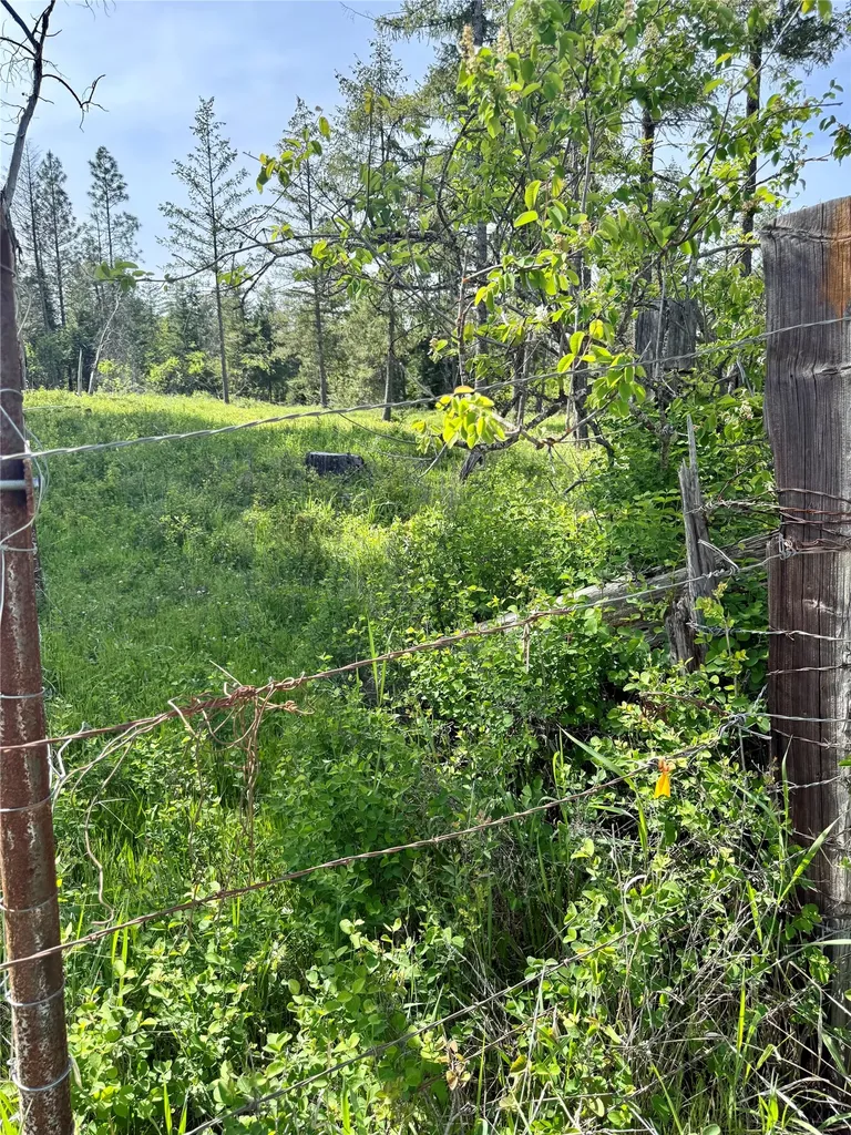 Nhn S Squire Lane Trout Creek MT 59874