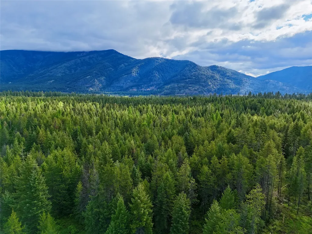 Nhn S Squire Lane Trout Creek MT 59874