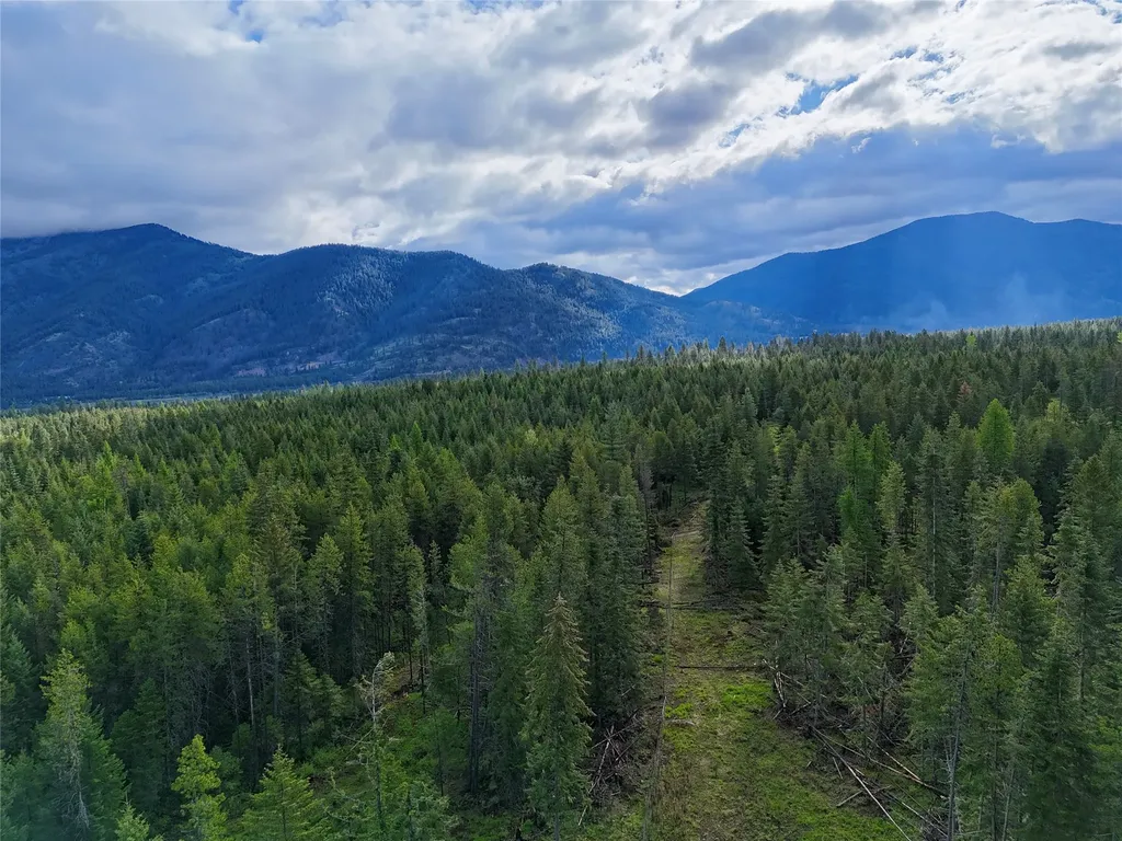Nhn S Squire Lane Trout Creek MT 59874