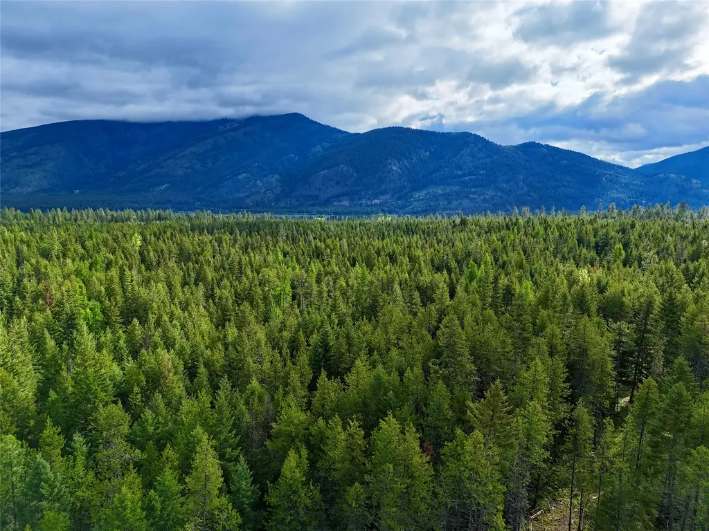 Nhn S Squire Lane Trout Creek MT 59874