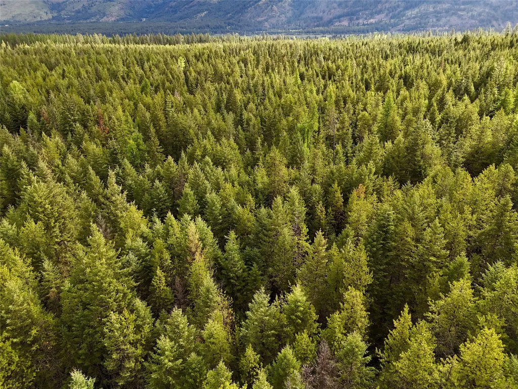 Nhn S Squire Lane Trout Creek MT 59874