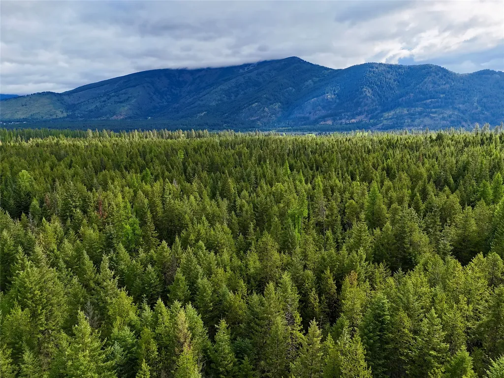 Nhn S Squire Lane Trout Creek MT 59874