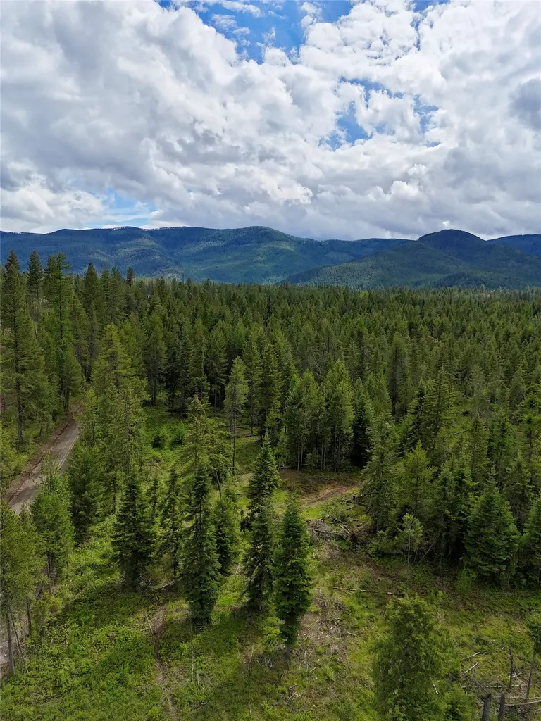 Nhn S Squire Lane Trout Creek MT 59874