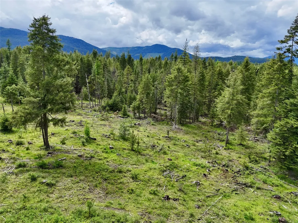 Nhn S Squire Lane Trout Creek MT 59874