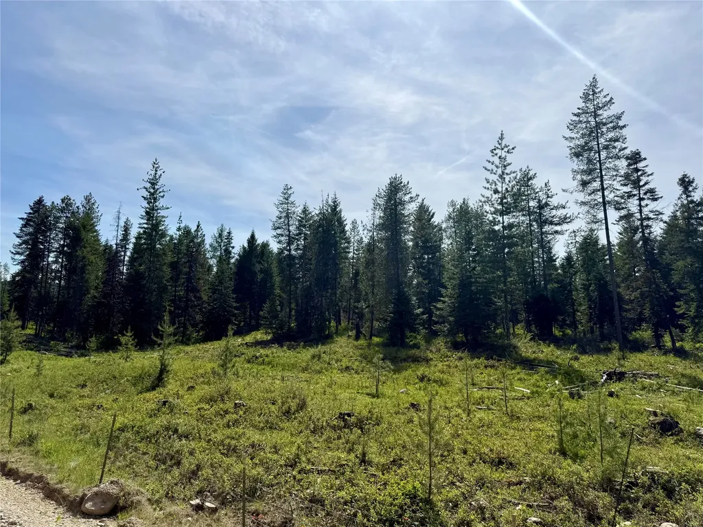 Nhn S Squire Lane Trout Creek MT 59874