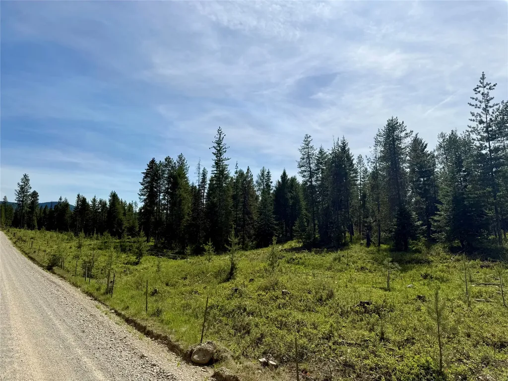 Nhn S Squire Lane Trout Creek MT 59874