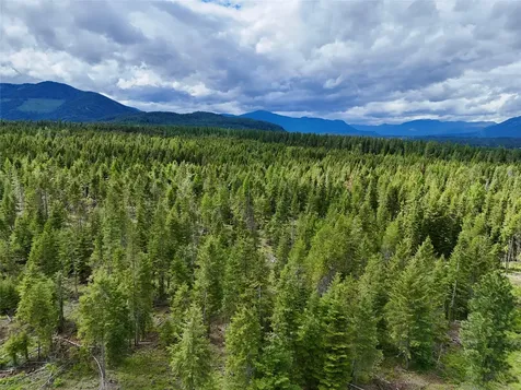 Nhn S Squire Lane Trout Creek MT 59874