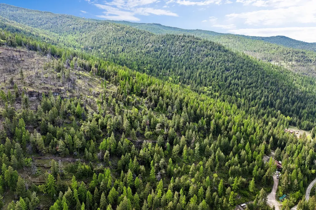 Nhn Patrick Creek Road Kalispell MT 59901