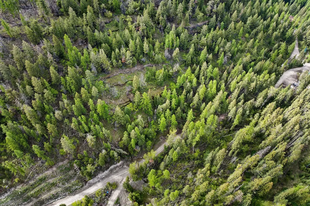 Nhn Patrick Creek Road Kalispell MT 59901