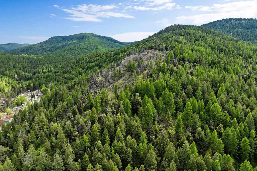 Nhn Patrick Creek Road Kalispell MT 59901