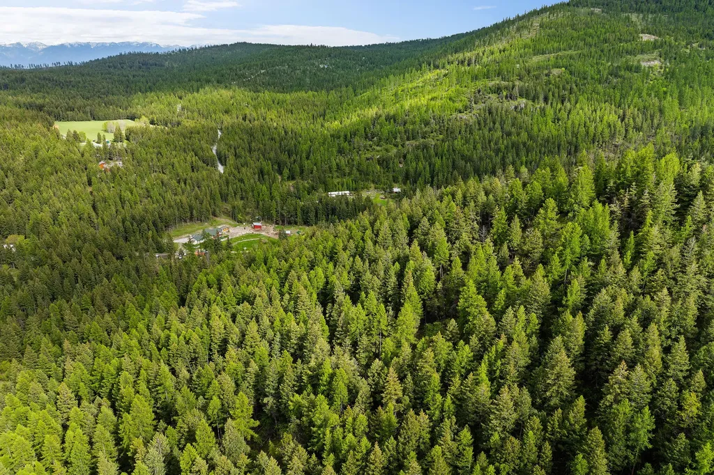 Nhn Patrick Creek Road Kalispell MT 59901