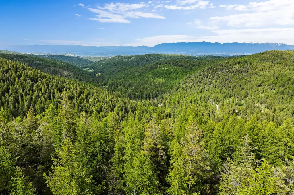 Nhn Patrick Creek Road Kalispell MT 59901