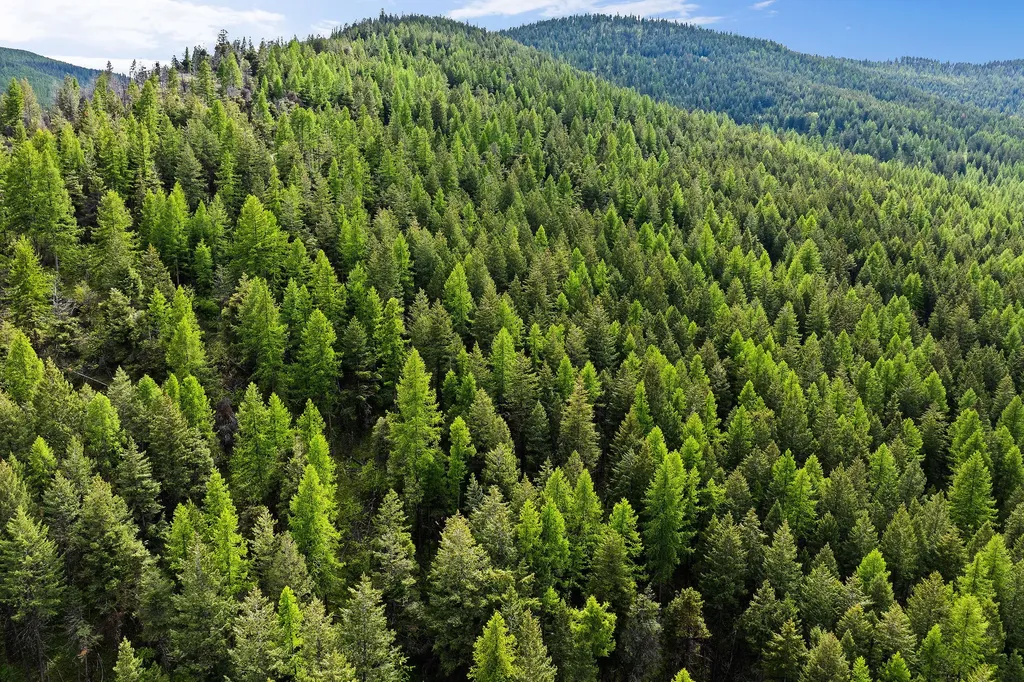 Nhn Patrick Creek Road Kalispell MT 59901