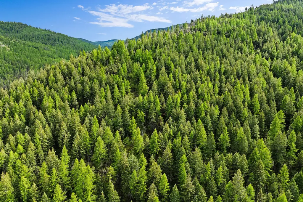 Nhn Patrick Creek Road Kalispell MT 59901