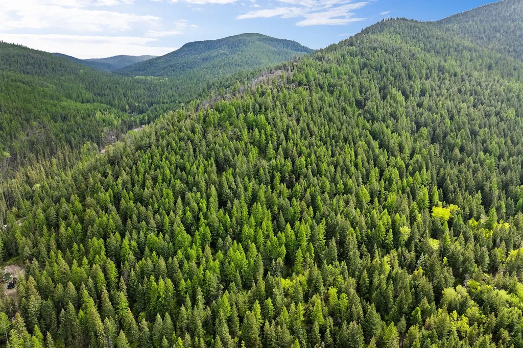 Nhn Patrick Creek Road Kalispell MT 59901
