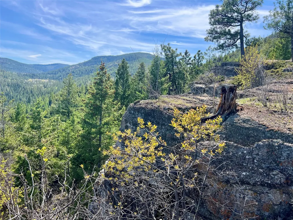 Nhn Patrick Creek Road Kalispell MT 59901