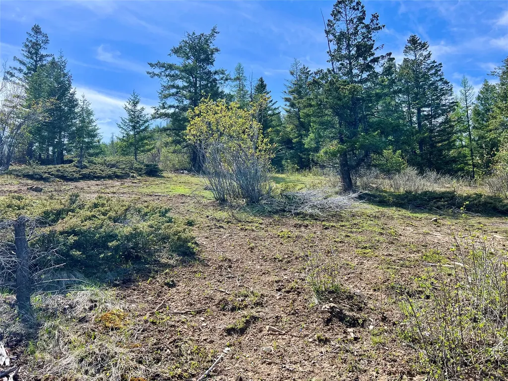 Nhn Patrick Creek Road Kalispell MT 59901