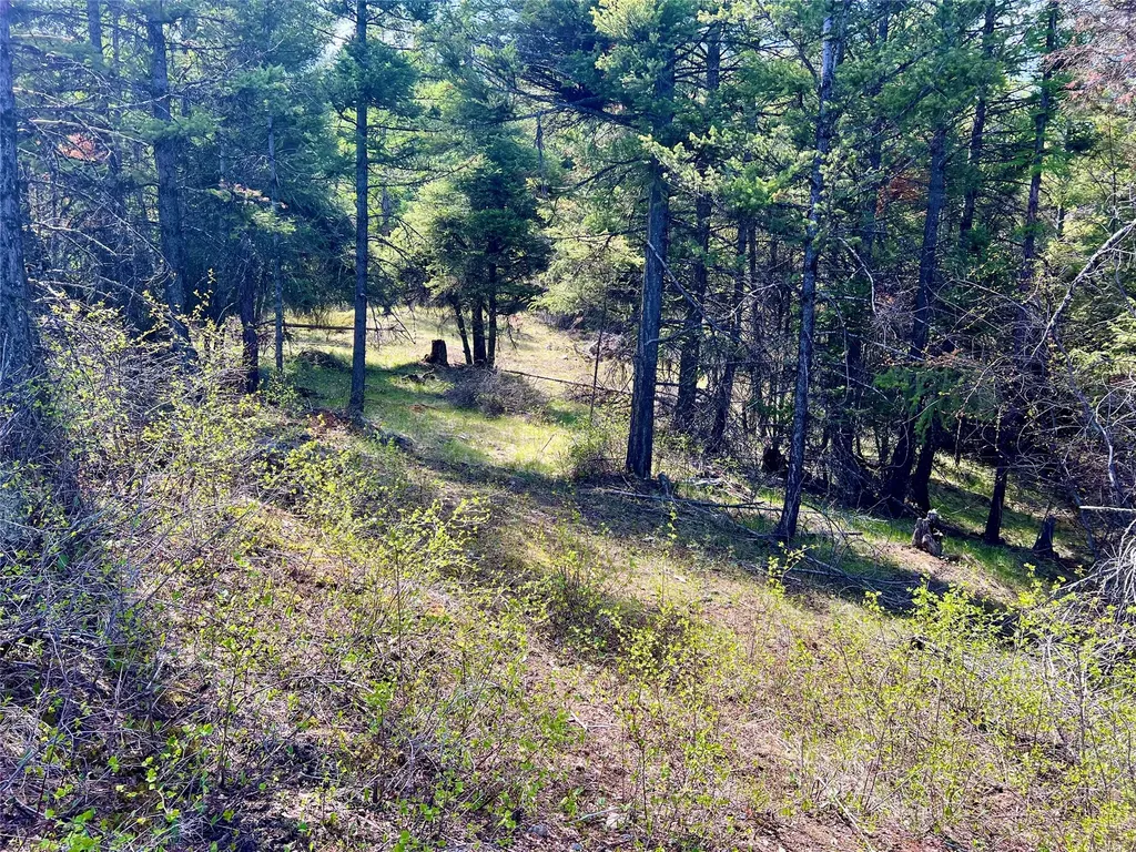 Nhn Patrick Creek Road Kalispell MT 59901