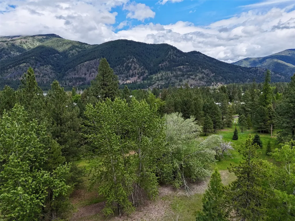 7 Old Cottonwood Lane Trout Creek MT 59874