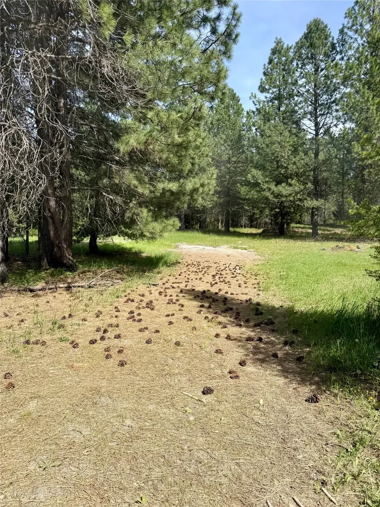 7 Old Cottonwood Lane Trout Creek MT 59874