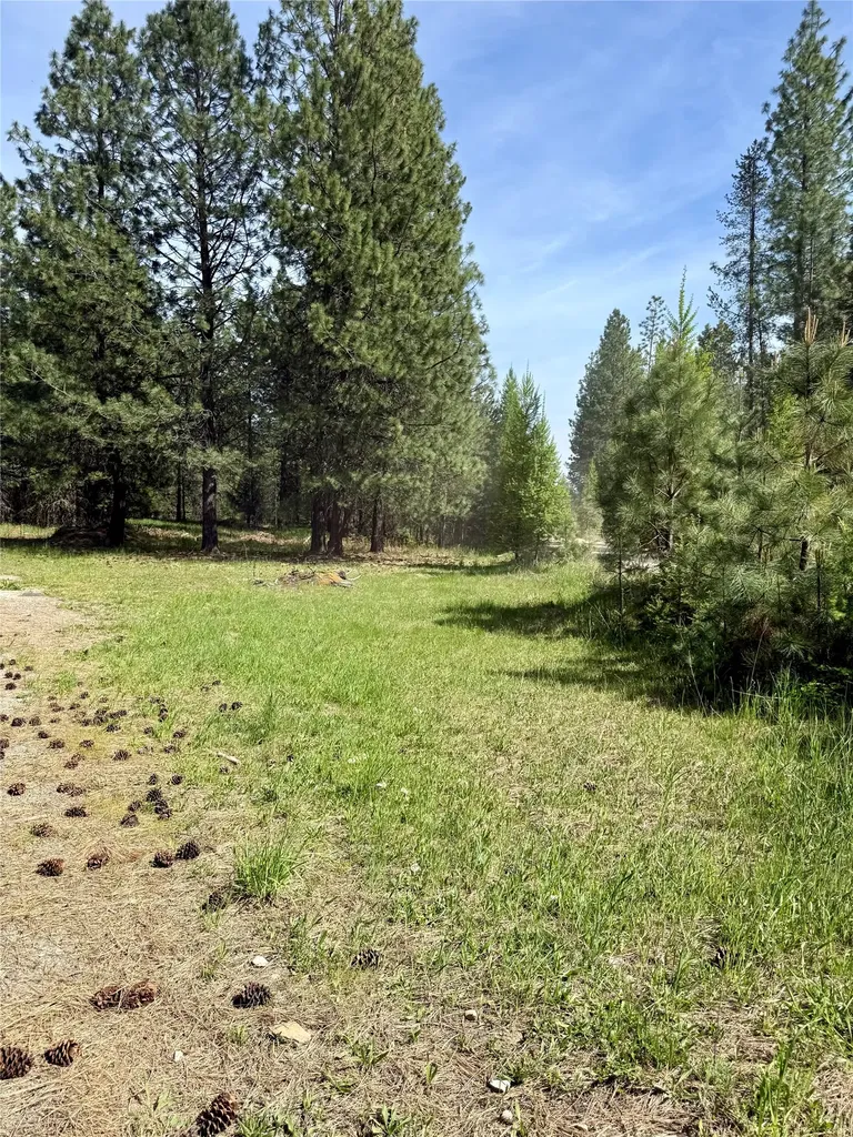 7 Old Cottonwood Lane Trout Creek MT 59874