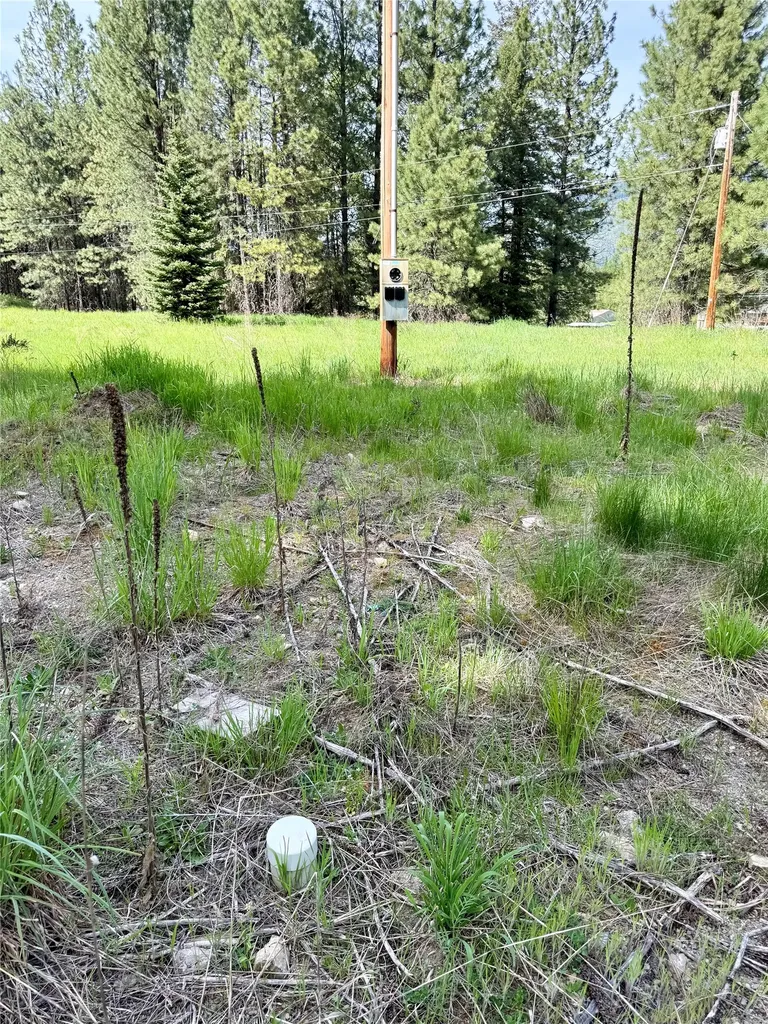 7 Old Cottonwood Lane Trout Creek MT 59874