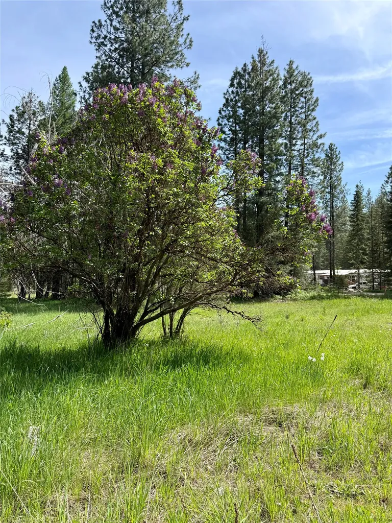 7 Old Cottonwood Lane Trout Creek MT 59874