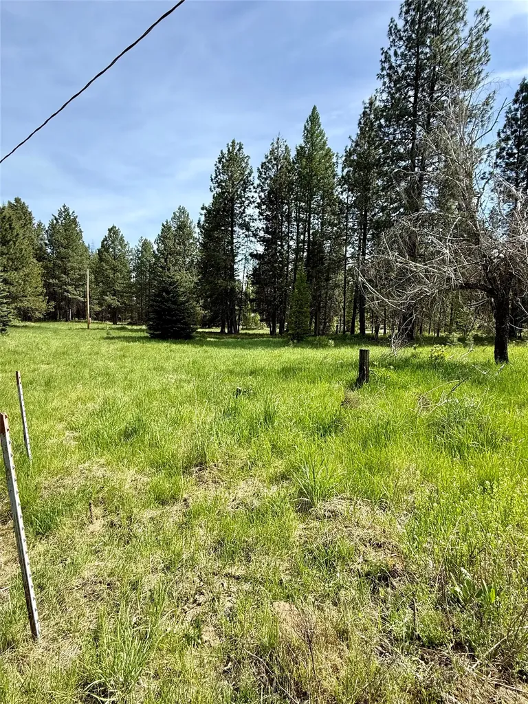 7 Old Cottonwood Lane Trout Creek MT 59874