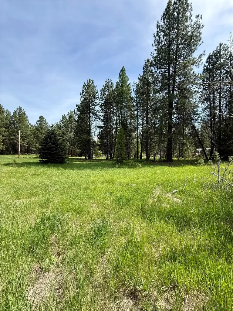 7 Old Cottonwood Lane Trout Creek MT 59874