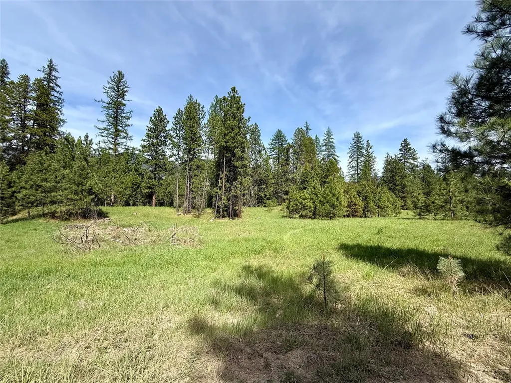 7 Old Cottonwood Lane Trout Creek MT 59874