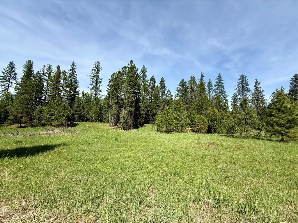 7 Old Cottonwood Lane Trout Creek MT 59874