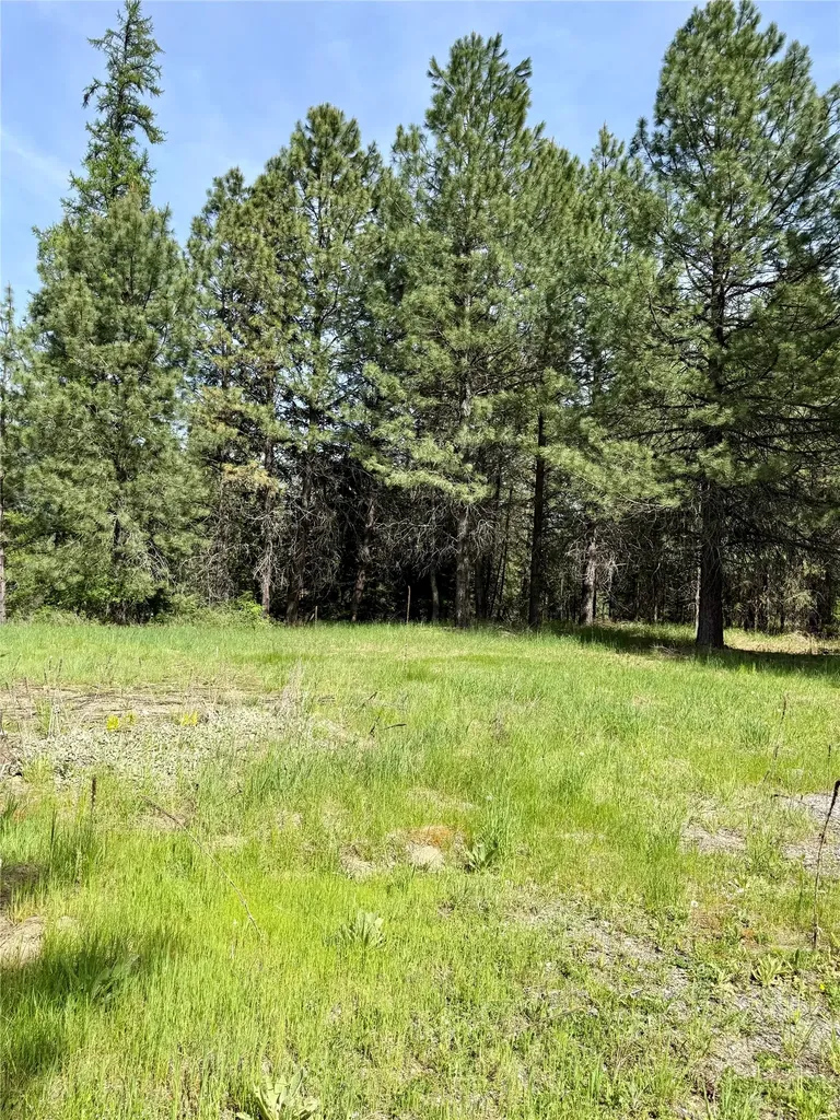 7 Old Cottonwood Lane Trout Creek MT 59874
